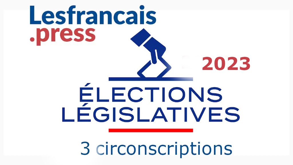 Elections législatives partielles