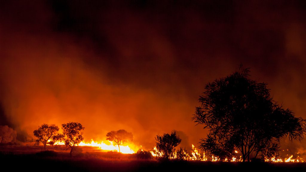 Incendies en Australie: le drame sans fin – la parole aux Français d&rsquo;Australie