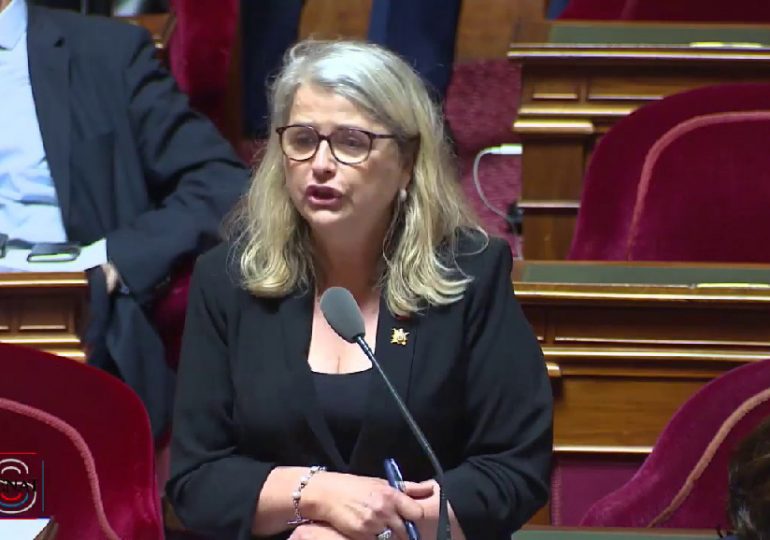 À l’origine du projet de création d’un fonds de solidarité en faveur des Français de l’étranger, Joëlle Garriaud-Maylam répond aux questions des Français.press