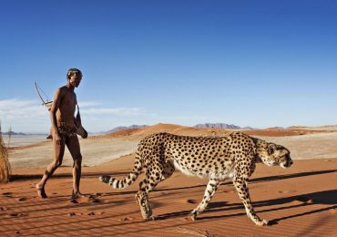 Choisir son expatriation :  direction la Namibie avec Camille