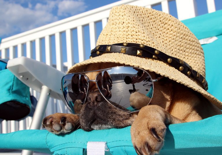 Un été très chaud en France