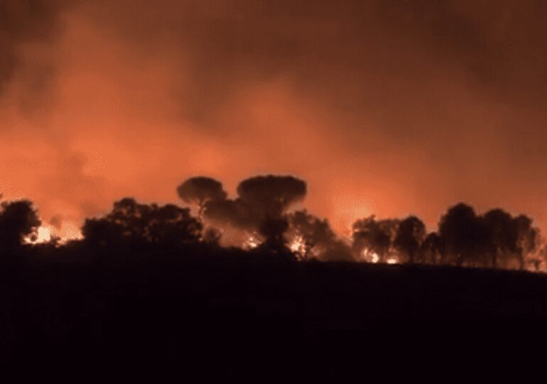 France : important incendie dans le Var