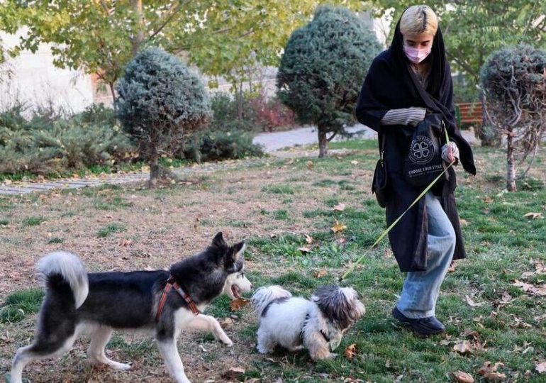 L'Iran veut-il interdire la possession d'animaux de compagnie ?