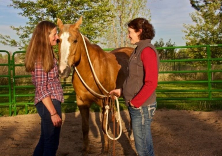 Anouk, la femme qui murmure à l’oreille des chevaux