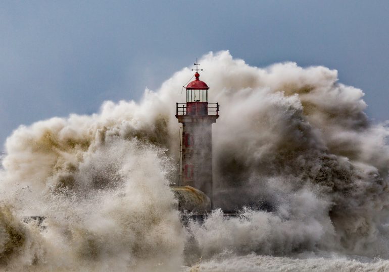 Le « sentiment océanique » au cœur de la Saison France-Portugal