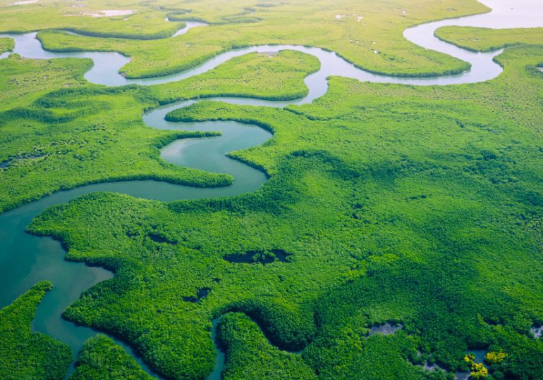 Le forum mondial de l’eau : des enjeux à entrées multiples 