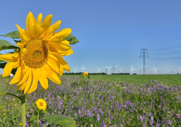 La transition énergétique, l’inflation et la croissance 