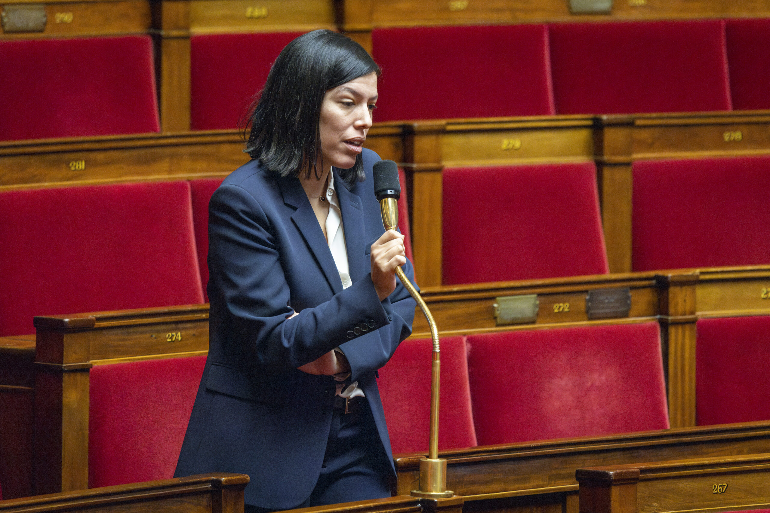 La députée Marie-Ange Rousselot lors de la séance de questions orales sans débat du 21 janvier 2025 à l'Assemblée nationale