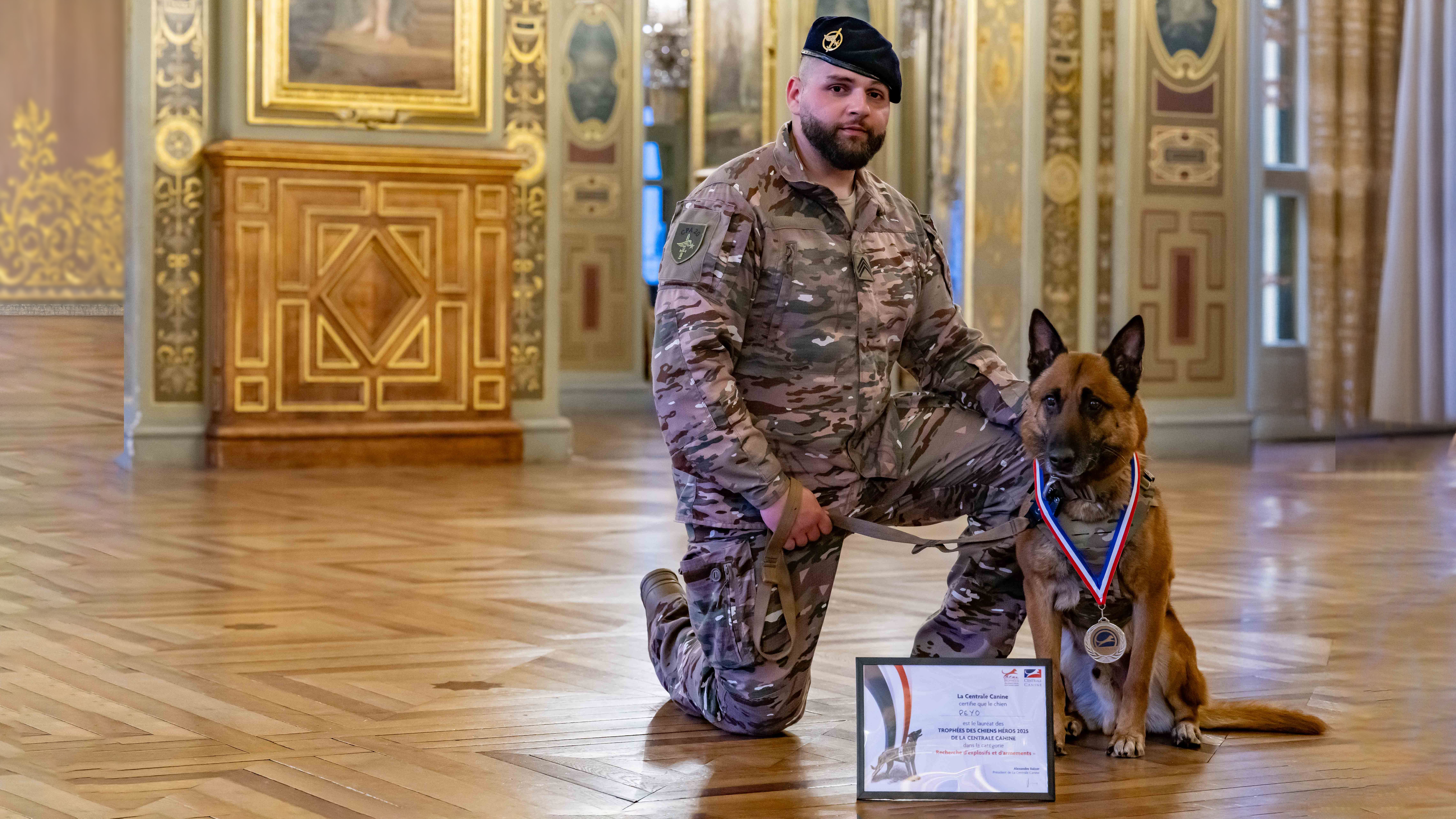 Peyo, premier chien de l'armée de l'Air et de l'Espace dans les salons du ministère de la défense.©SEPA