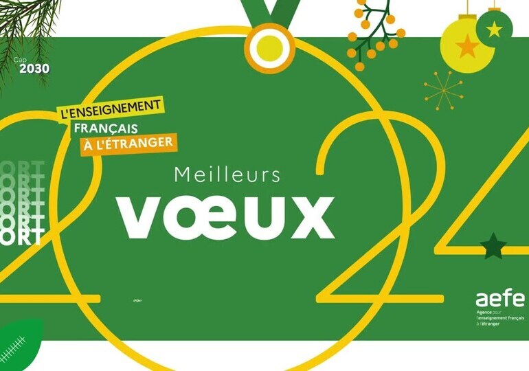 Claudia Scherer-Effosse, directrice générale de l'AEFE : L’année 2024 est une année charnière 