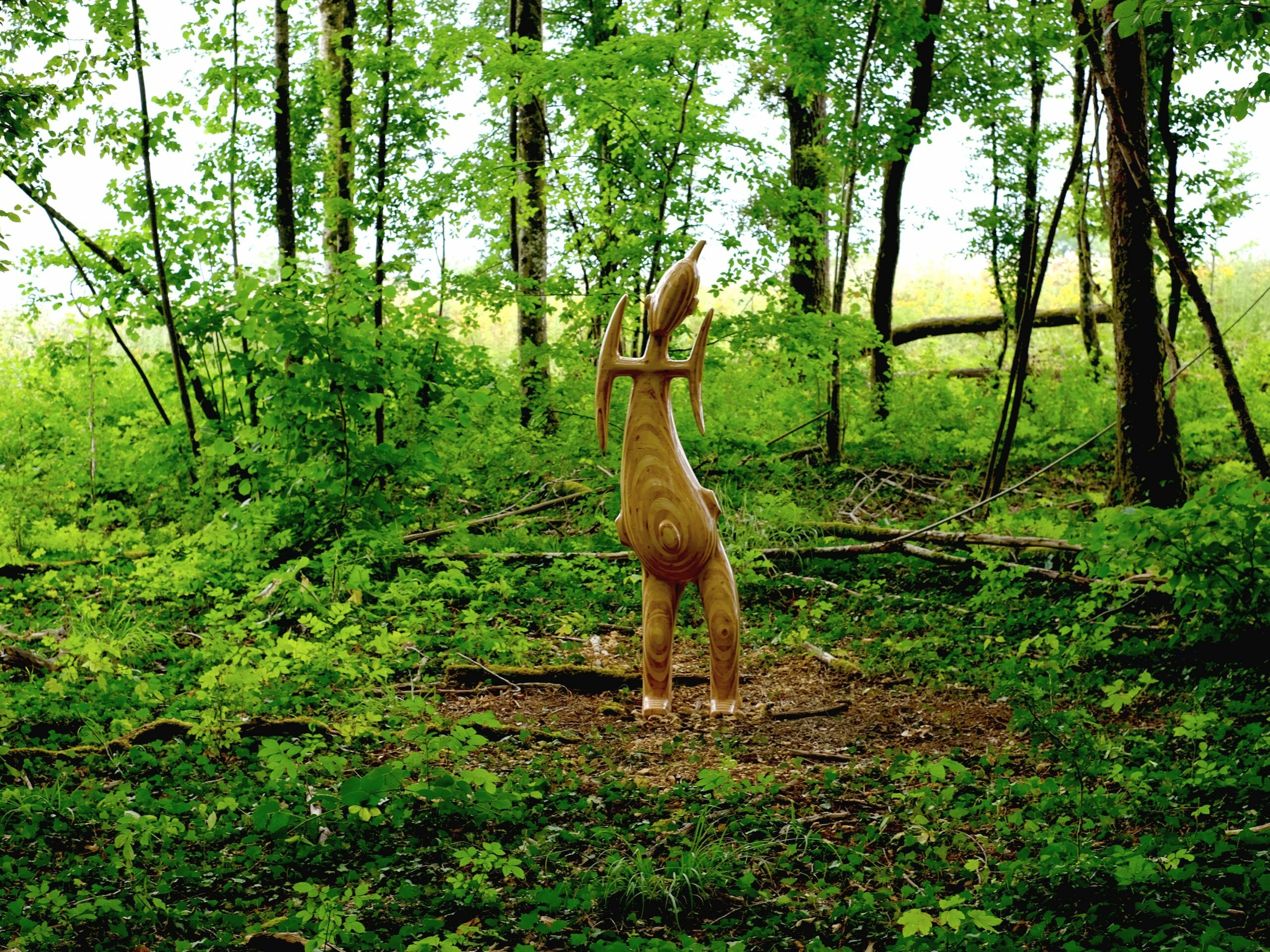 Vent des Forêts dans la Meuse