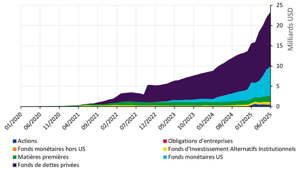 Ce graphique présente l’ensemble des classes d’actifs tokenisés hors stablecoins