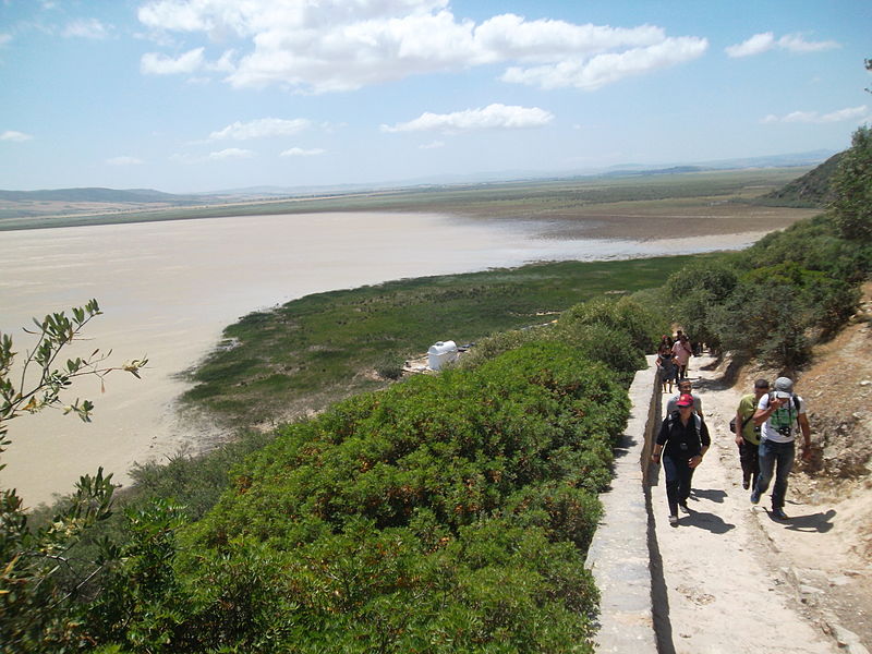 Le parc national d'Ichkeul