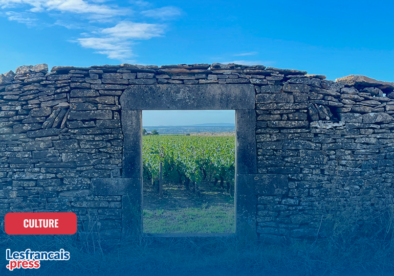 De New York à la Bourgogne, immersion au cœur des vendanges