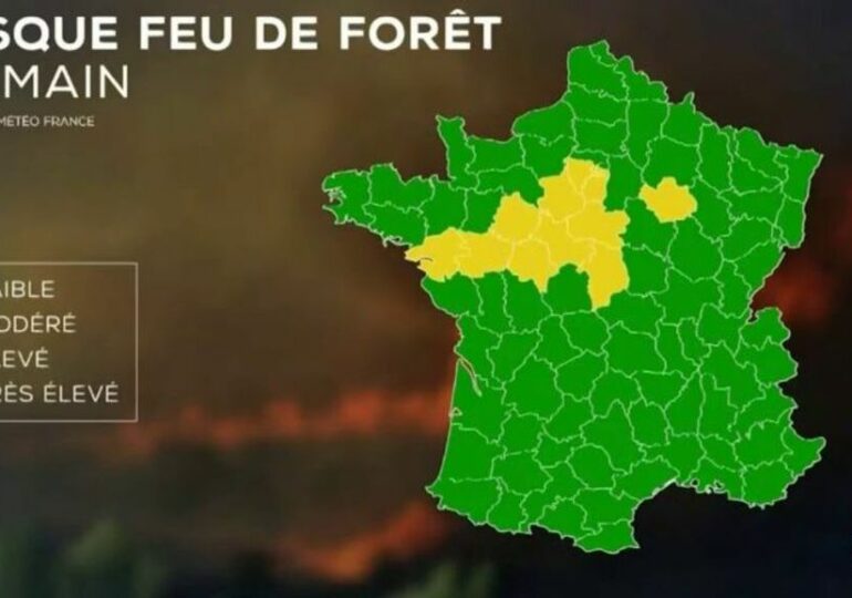 Voyage en France cet été ? Pensez à consulter la météo des forêts