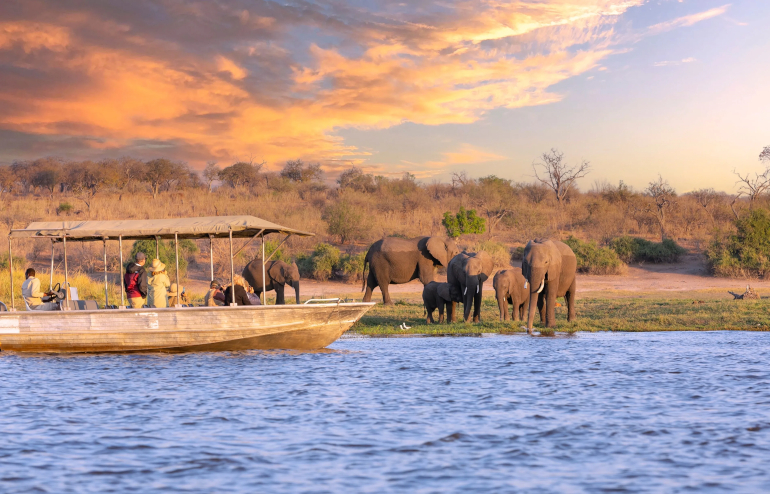 Safari Botswana